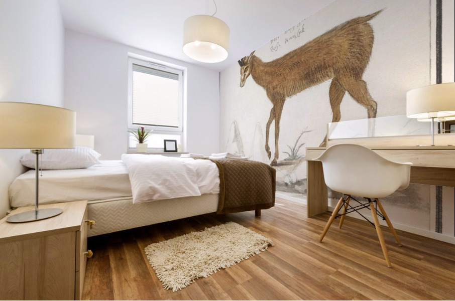 Chamois in vintage style Mural print