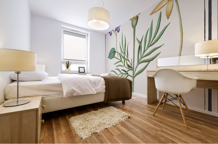 Viola daffodil and marigold Mural print