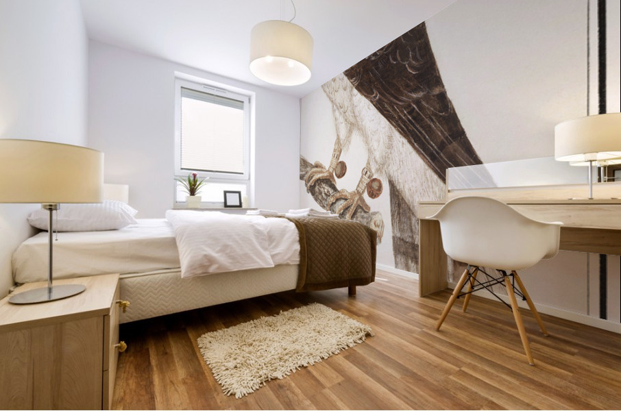 Northern goshawk vintage style Mural print