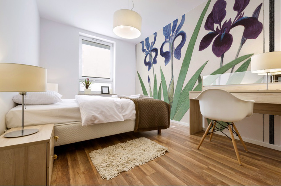 Purple iris vintage style Mural print