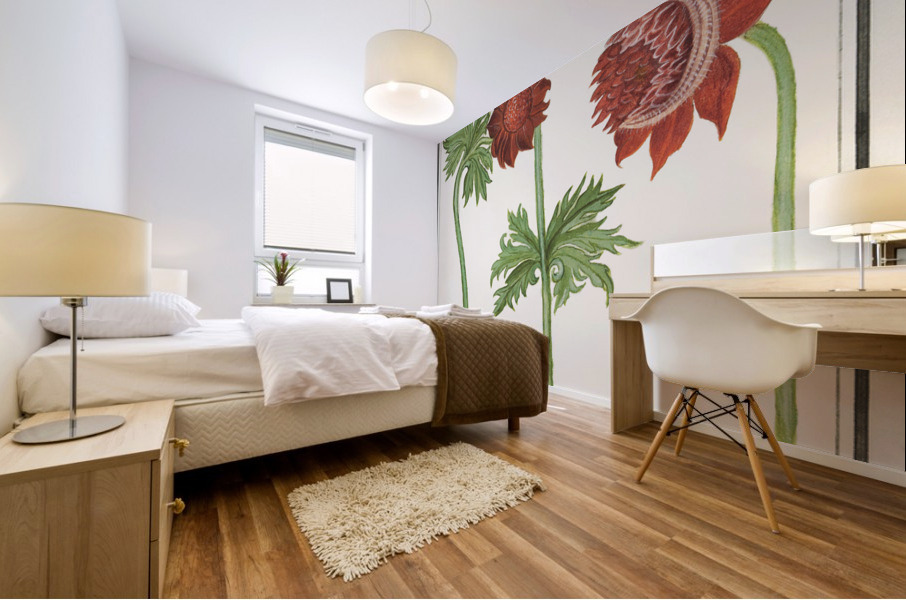 Anemone flower in vintage style Mural print