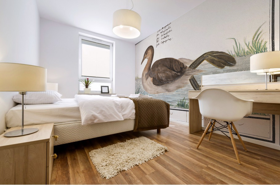 Little grebe in vintage style Mural print