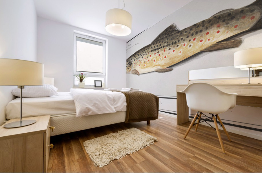 Trout in vintage style Mural print