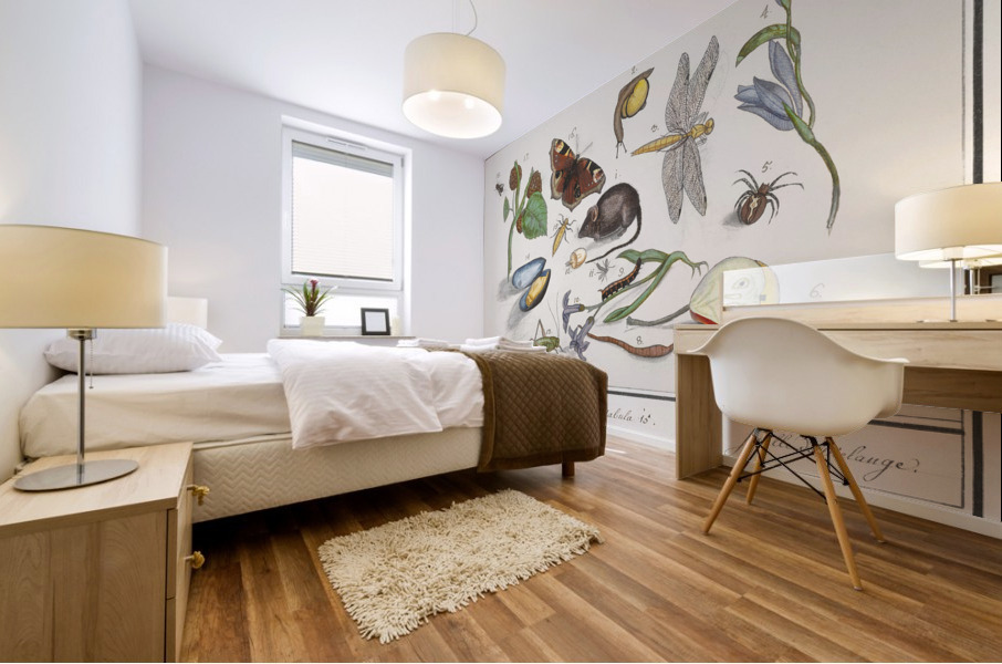 Nature ensemble in vintage style Mural print