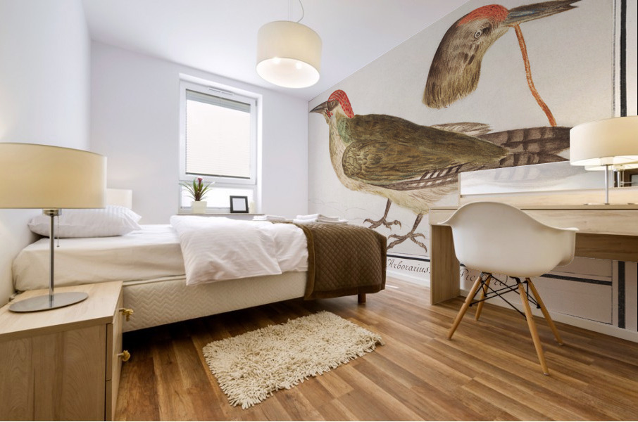 European green woodpecker in vintage style Mural print