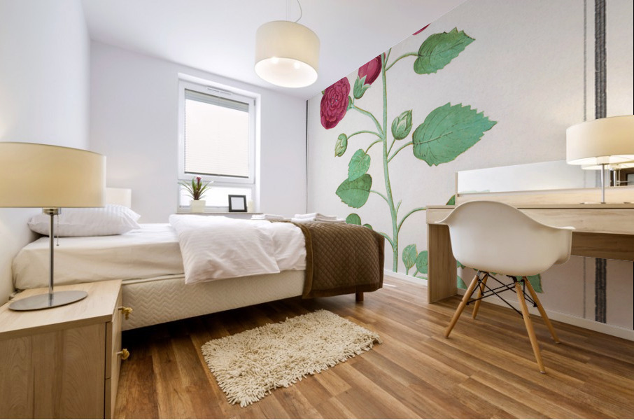 Cyclamen in vintage style Mural print