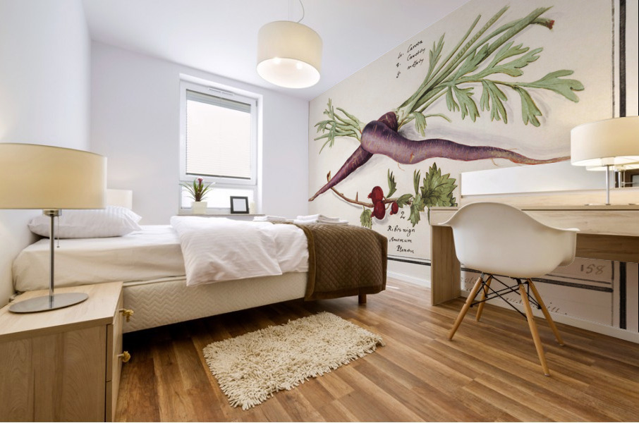 Carrot and red currant in vintage style Mural print