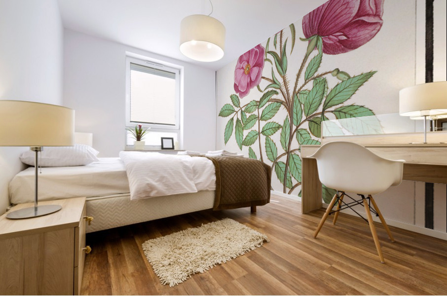 Wild rose in vintage style Mural print