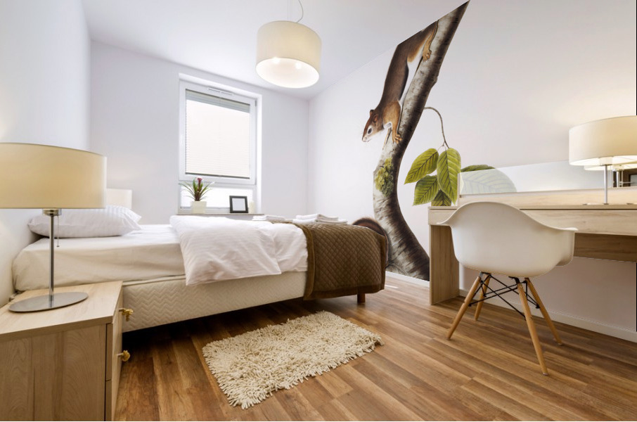 Ground Squirrel Tamias Townsendii  Mural print