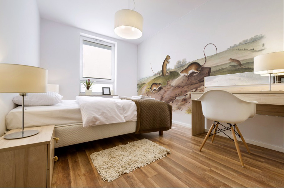 Jumping Mouse Meriones Americanus  Mural print