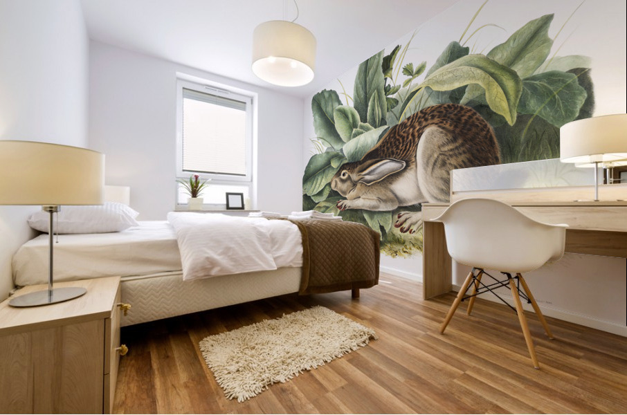 Black-tailed Hare Lepus negricaudatus  Mural print