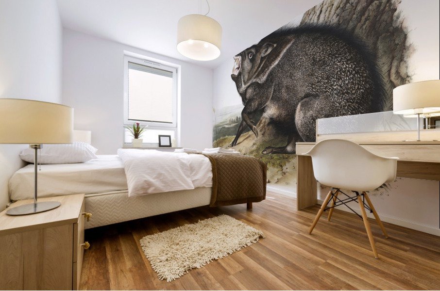 Collared Peccary Dycoteles torquatus  Mural print