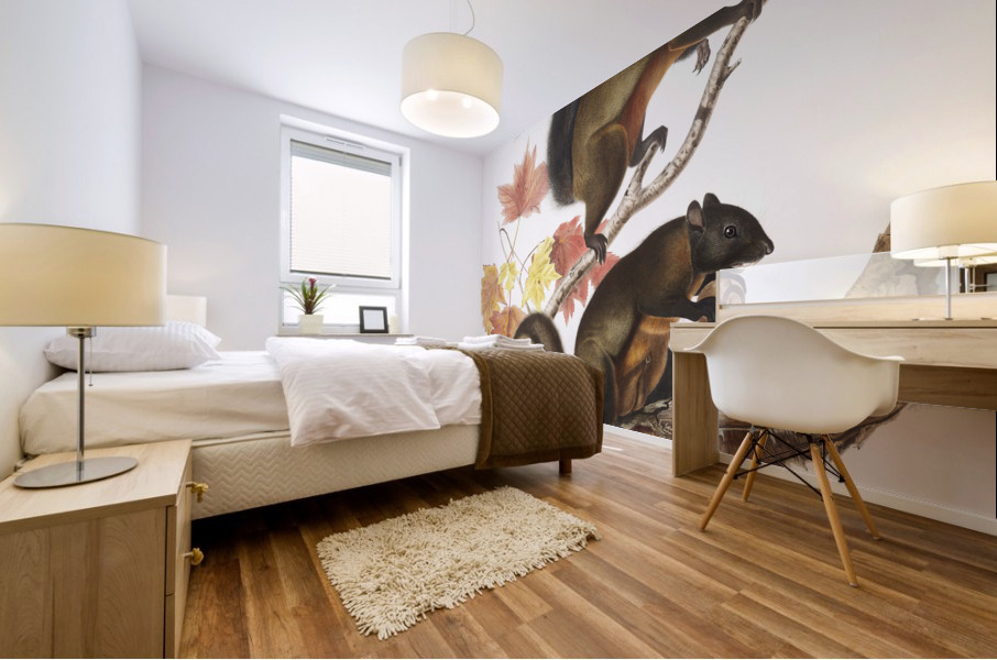 Long-haired Squirrel Sciurus longipilis  Mural print