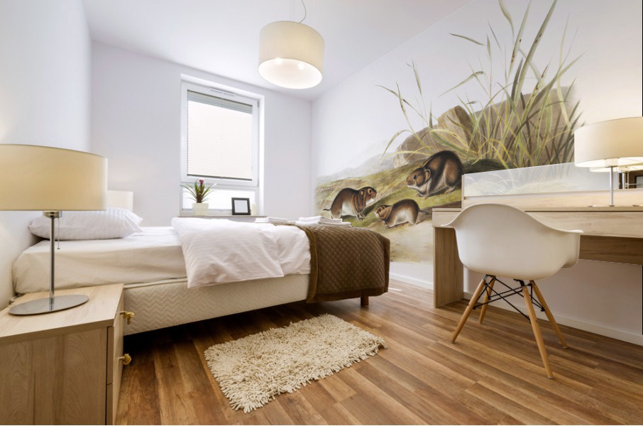 Yellow cheeked Meadow Mouse Arvicola xanthognathus  Mural print