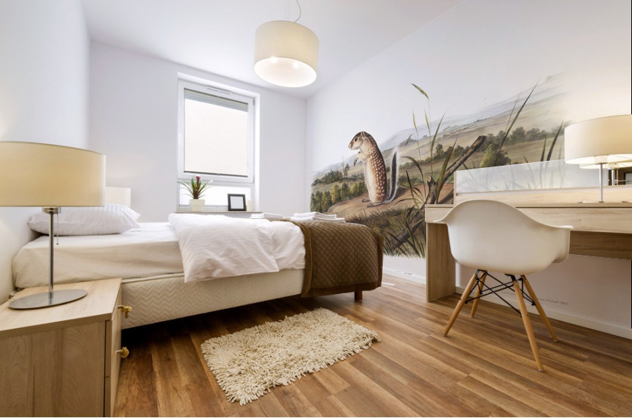 Mexican Marmot Squirrel Spermophilus Mexicanus  Mural print