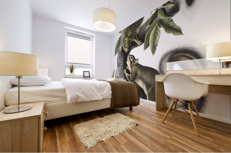 Hare Squirrel Sciurus leporinus  Mural print