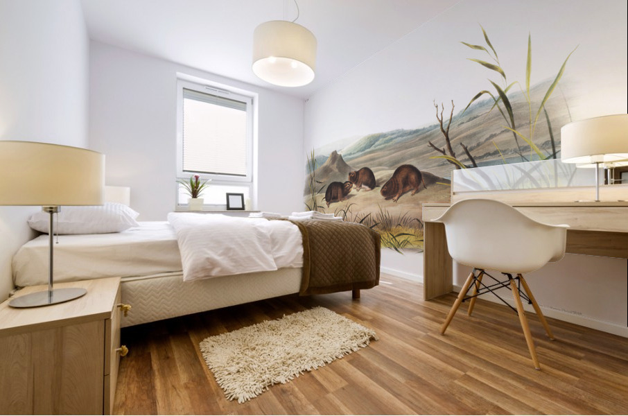 Northern Meadow-Mouse Arvicola borealis  Mural print