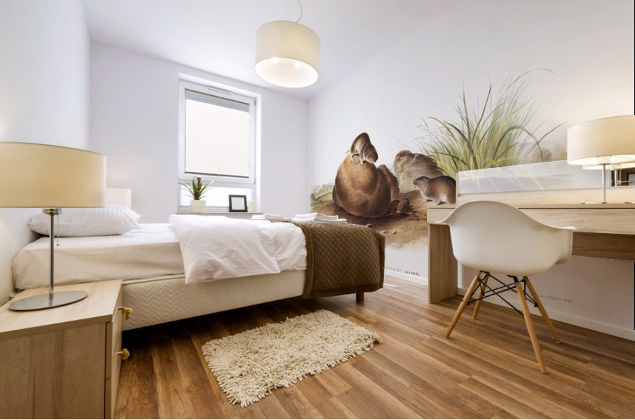 Lecontes Pine Mouse Arvocola pinetorum  Mural print