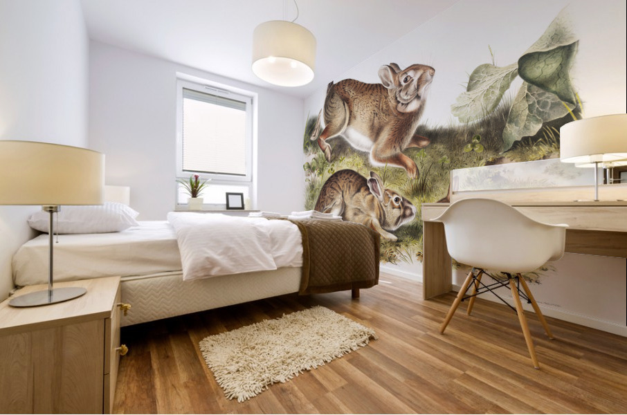 Grey Rabbit Lepus Sylvaticus  Mural print