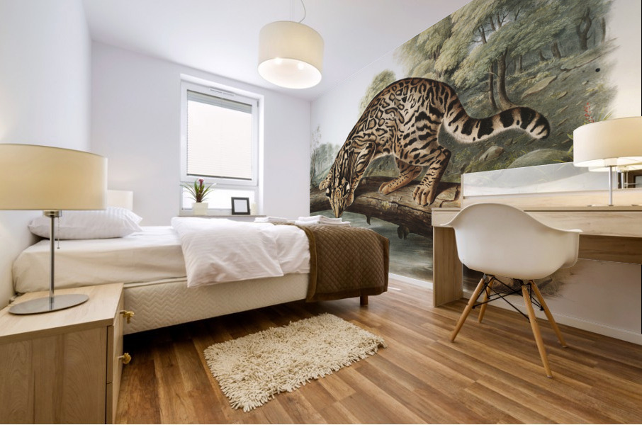 Ocelot or Leopard-Cat Felis pardalis  Mural print