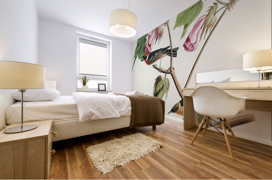 Bay-breasted Warbler Mural print