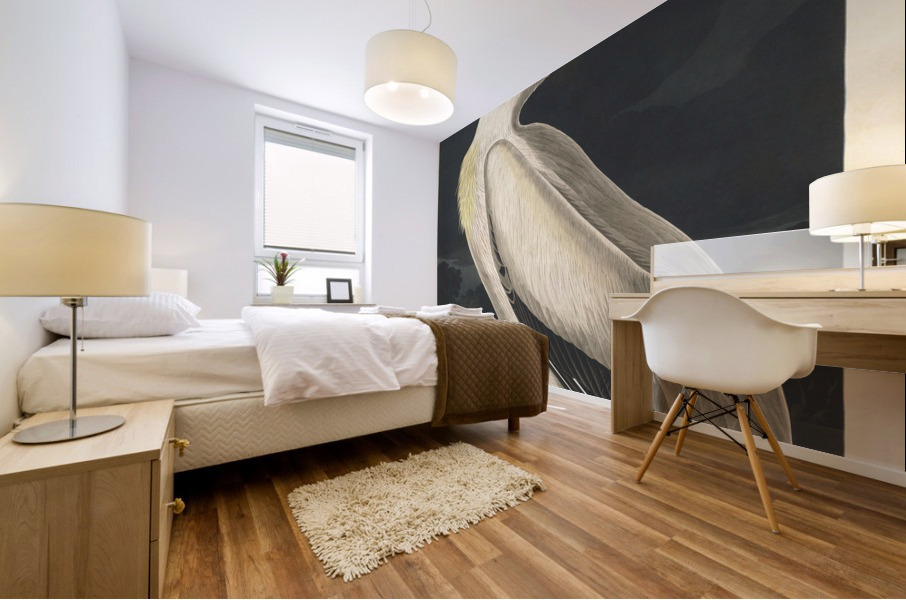 American White Pelican Mural print