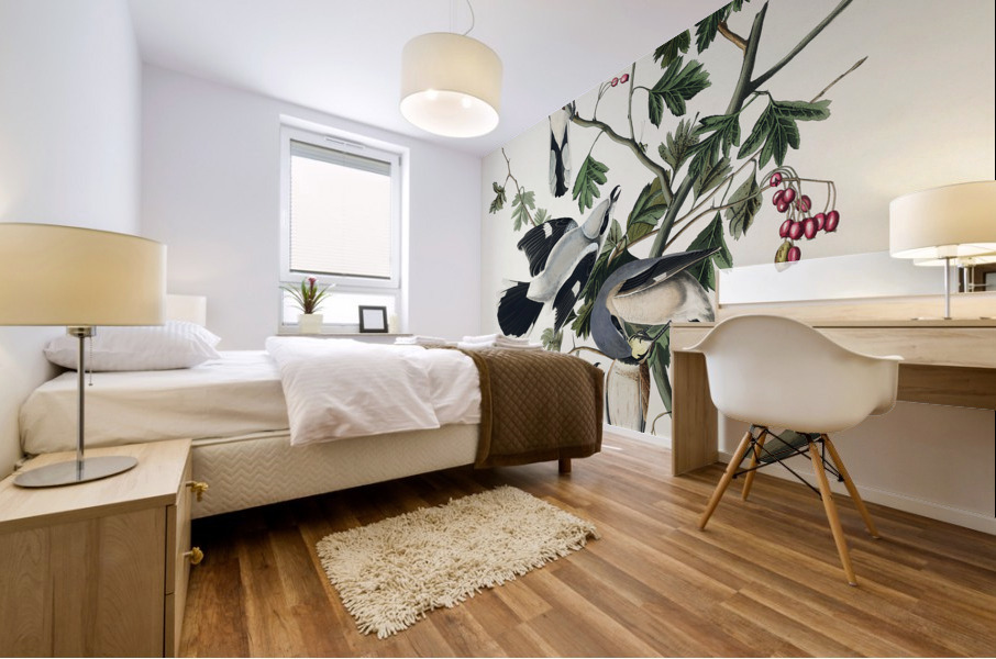 Great cinereous Shrike or Butcher Bird Mural print