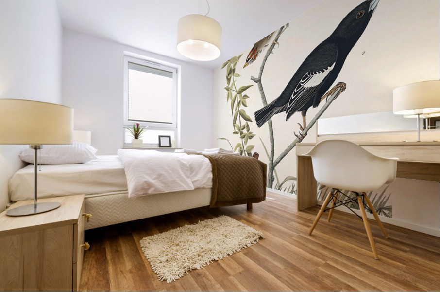 Lark Finch Prairie Finch and Brown Song Sparrow Mural print