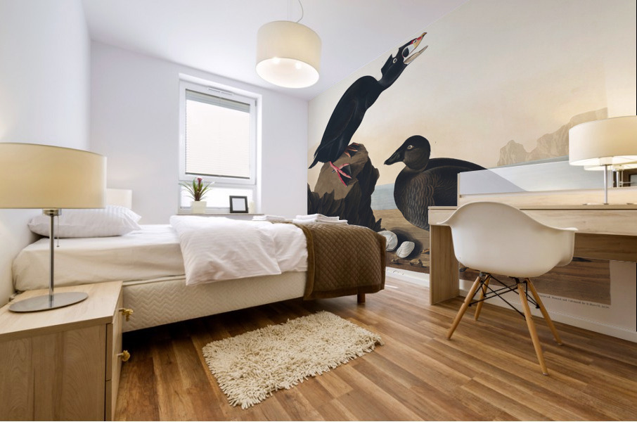 Black or Surf Duck Mural print