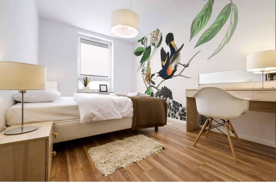 American Redstart Mural print