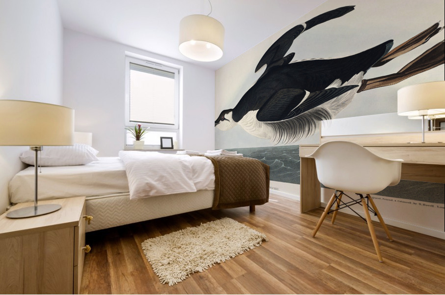 Uria Brunnichi Mural print