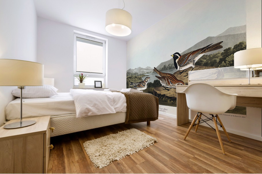 Lapland Long-spur Mural print