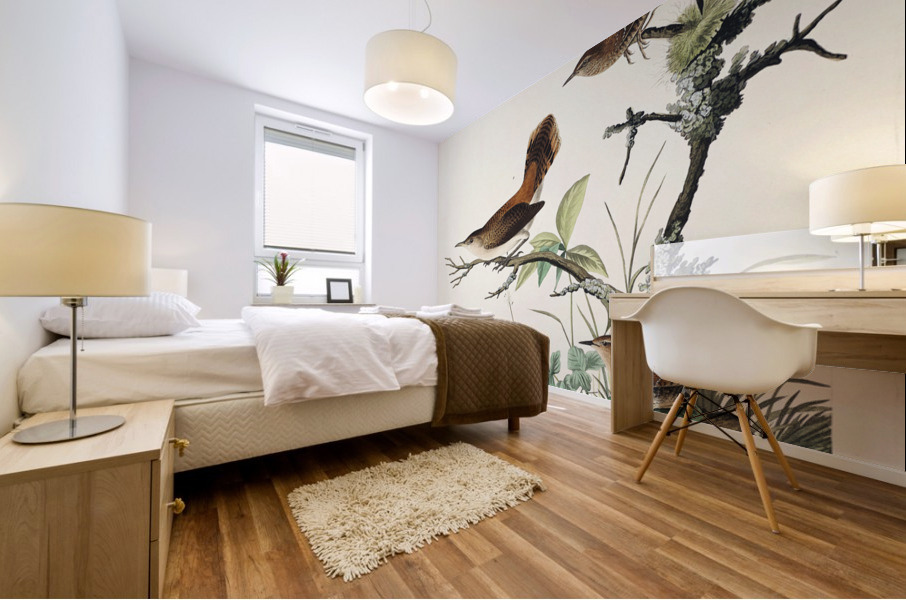 Winter Wren and Rock Wren Mural print