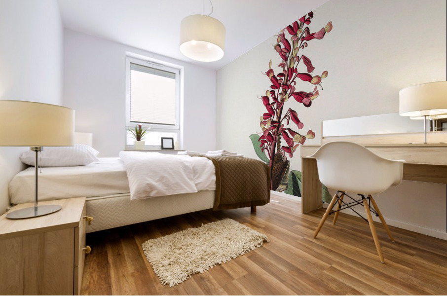 Great Carolina Wren Mural print