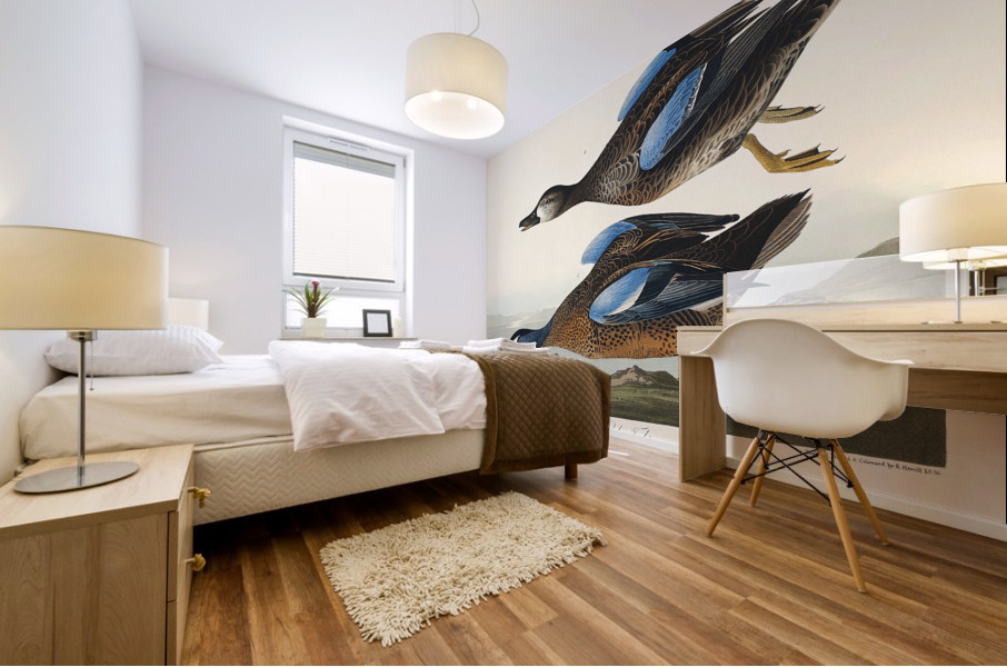 Blue-Winged Teal Mural print