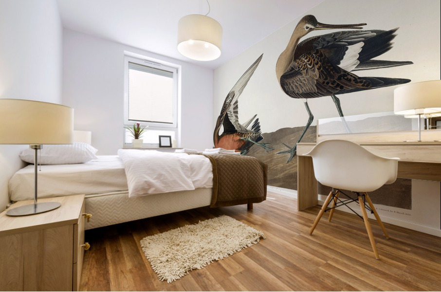 Hudsonian Godwit Mural print