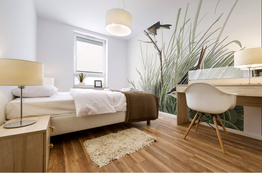 Sharp-tailed Finch Mural print