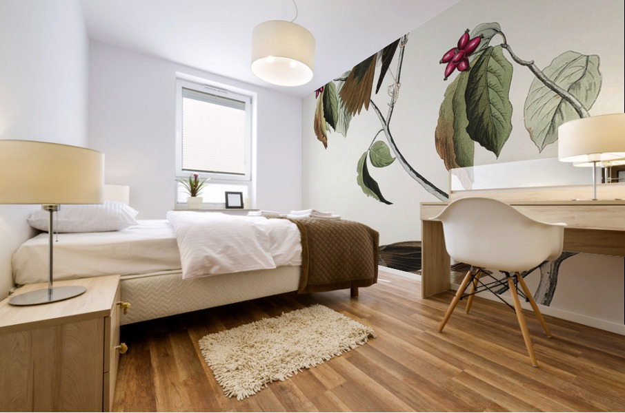 Wood Thrush Mural print