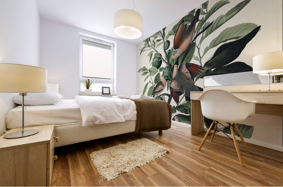 Ground Dove Mural print