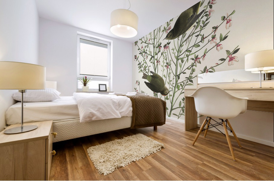 Orange-crowned Warbler Mural print