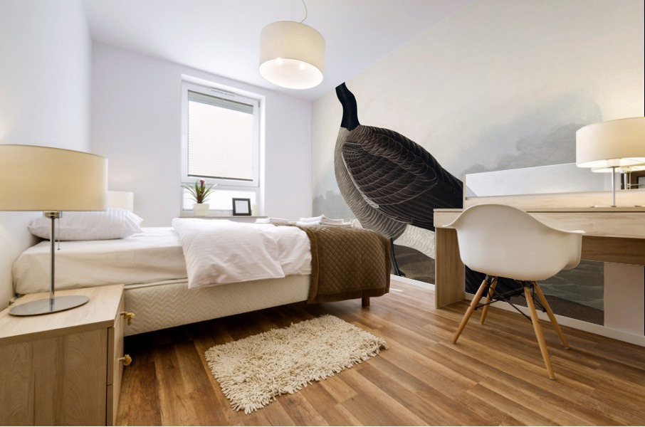 Hutchinss Barnacle Goose Mural print