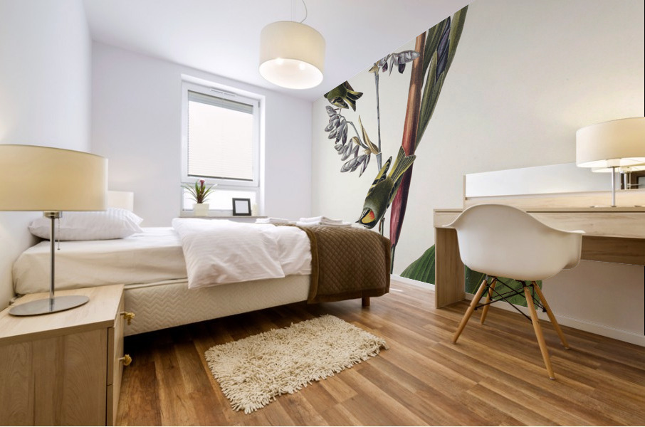 American Golden crested-Wren Mural print