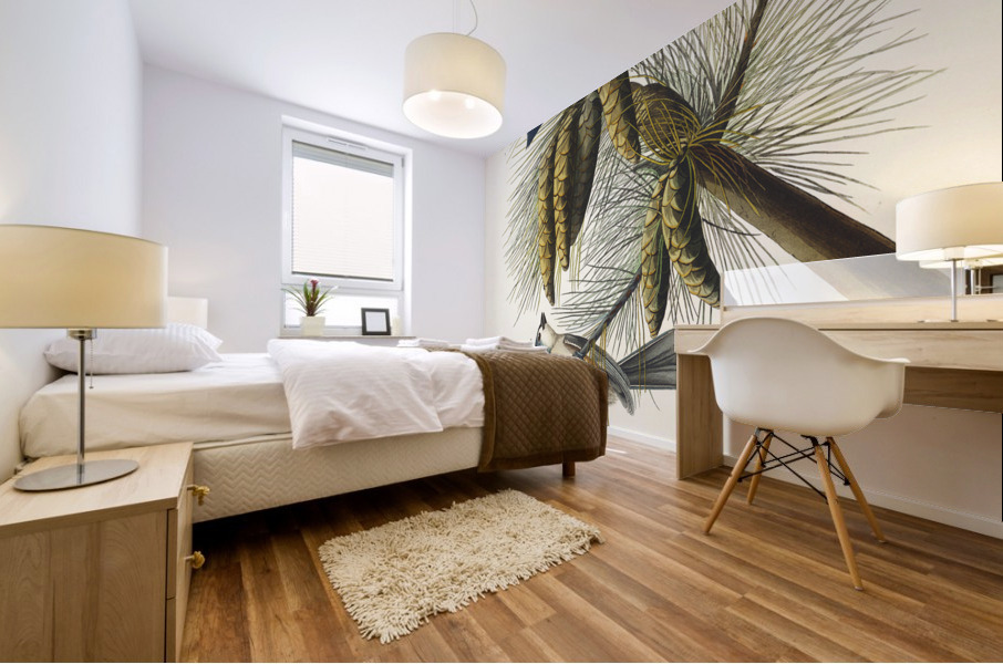 Crested Titmouse Mural print