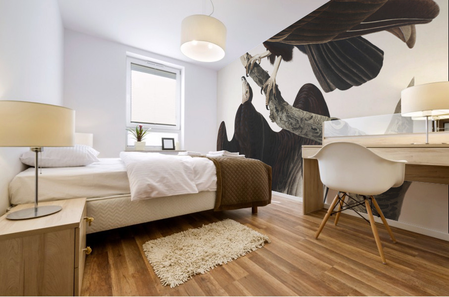 Turkey Buzzard Mural print