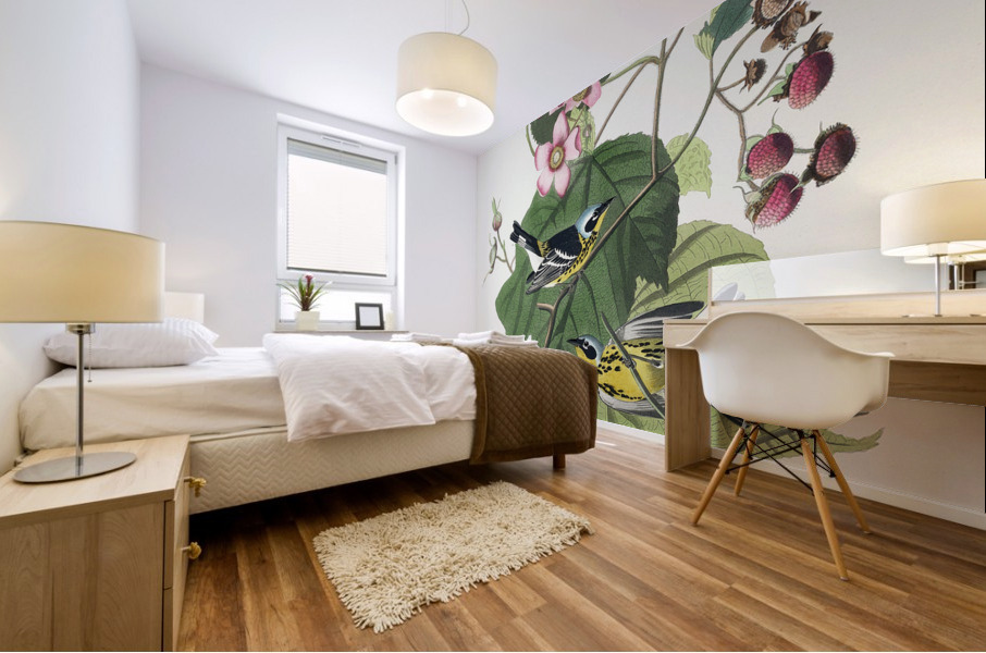 Black & Yellow Warblers Mural print
