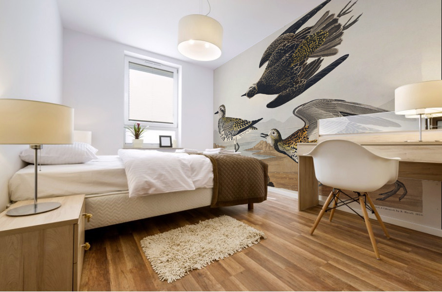 Golden Plover Mural print