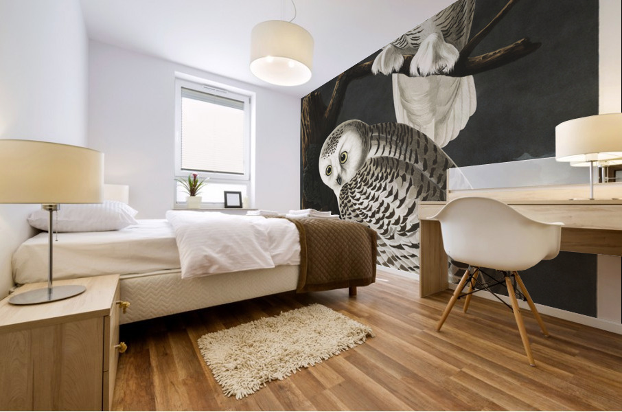 Snowy Owl Mural print