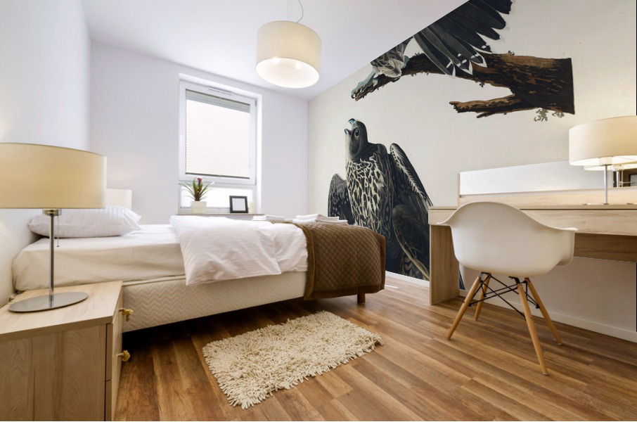 Labrador Falcon Mural print