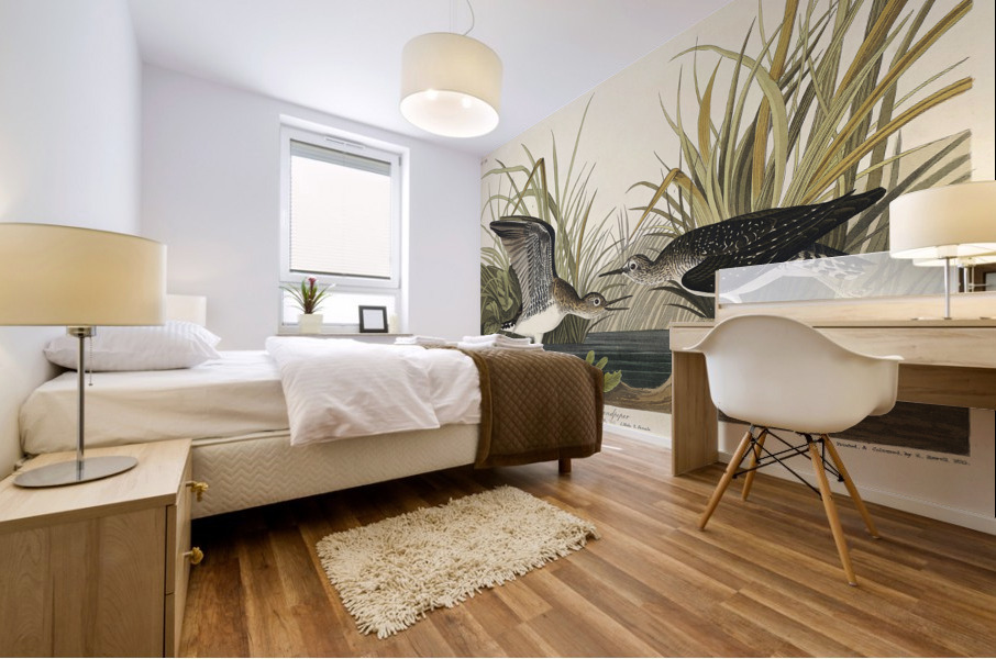 Solitary Sandpiper Mural print