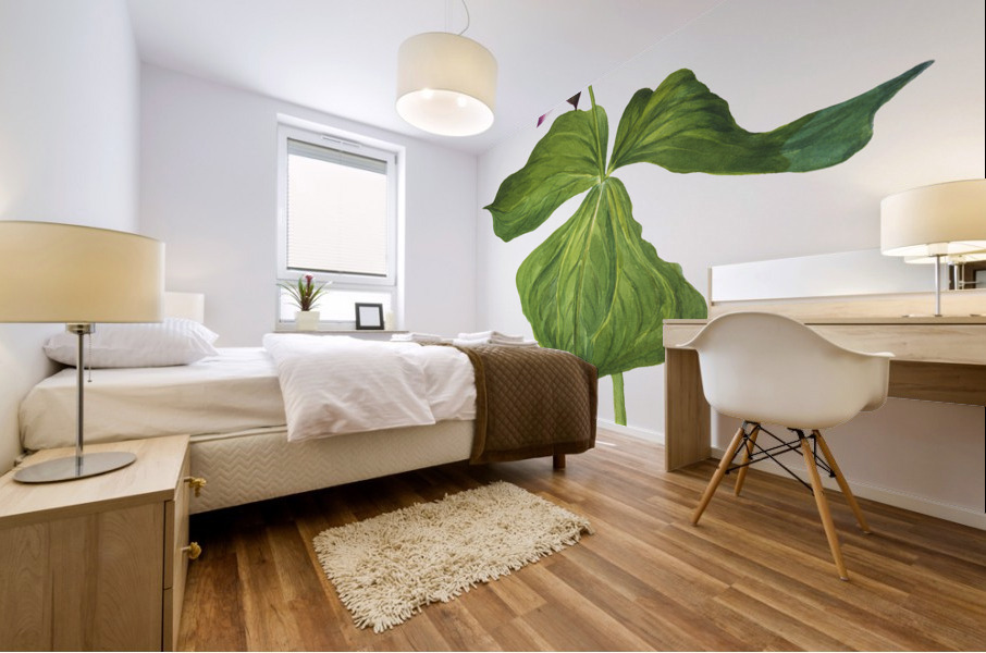 Trillium erectum 1938 Mural print
